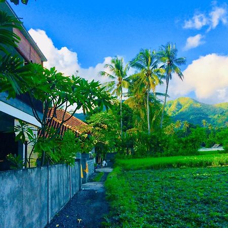 D'Uma Amed Homestay المظهر الخارجي الصورة