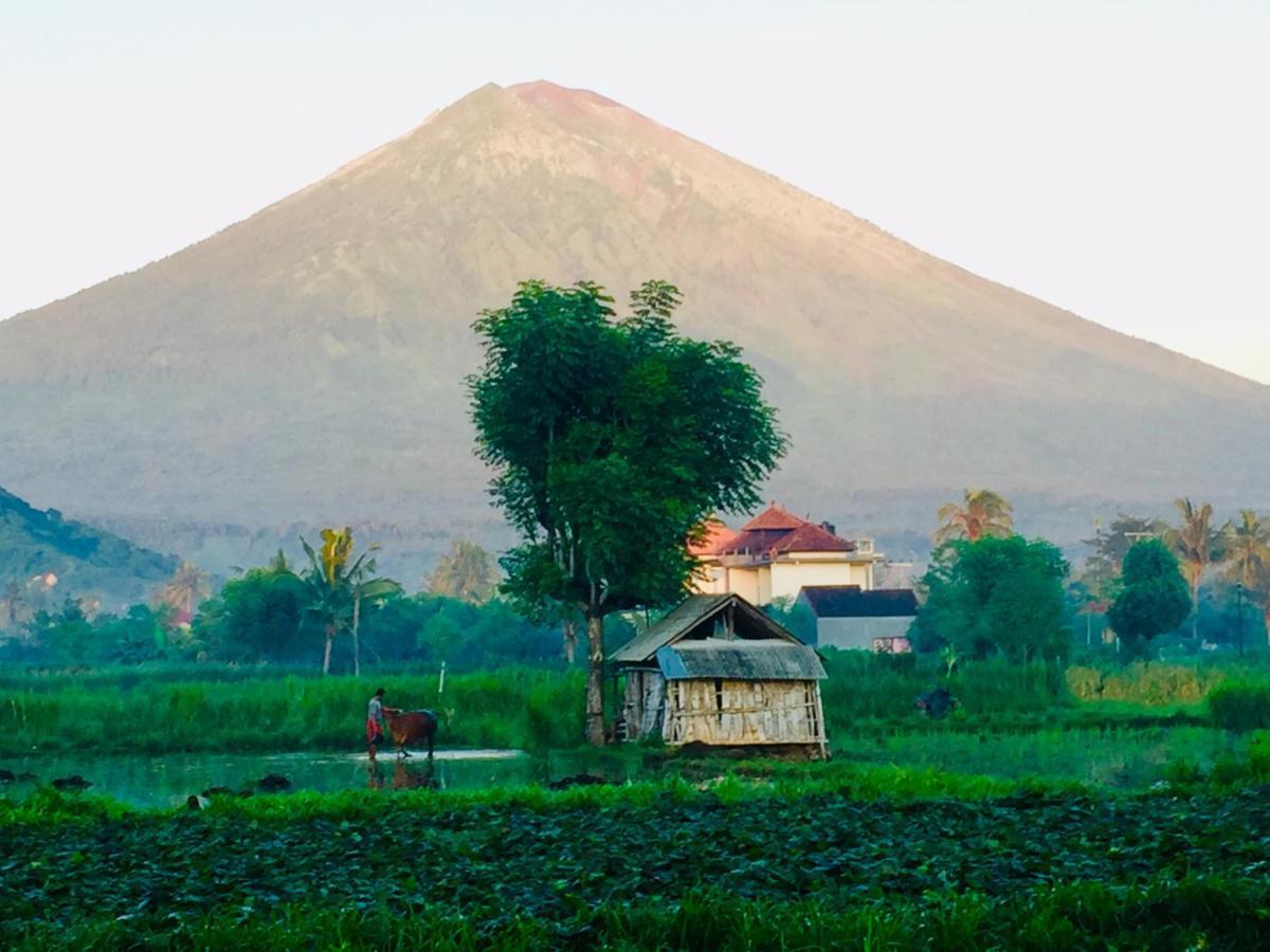 D'Uma Amed Homestay المظهر الخارجي الصورة