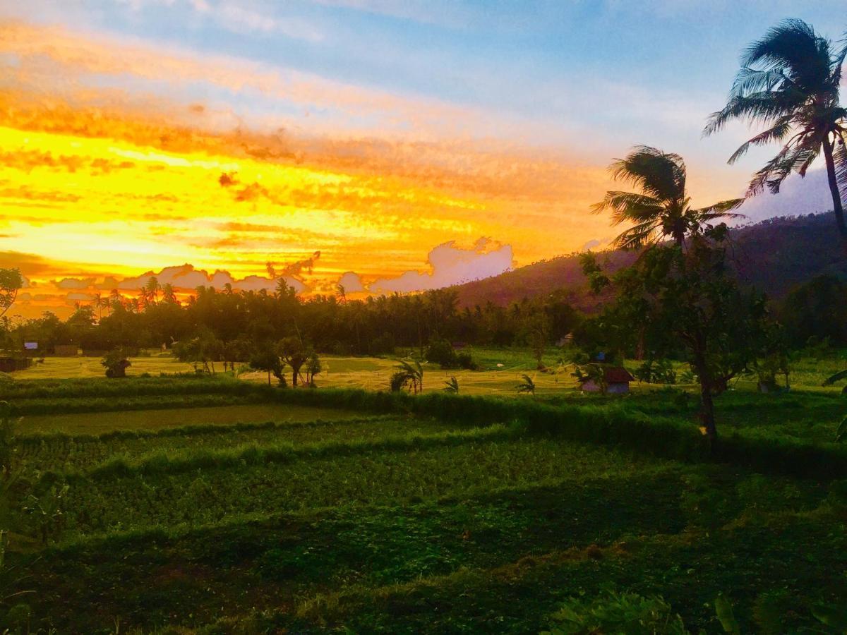 D'Uma Amed Homestay المظهر الخارجي الصورة