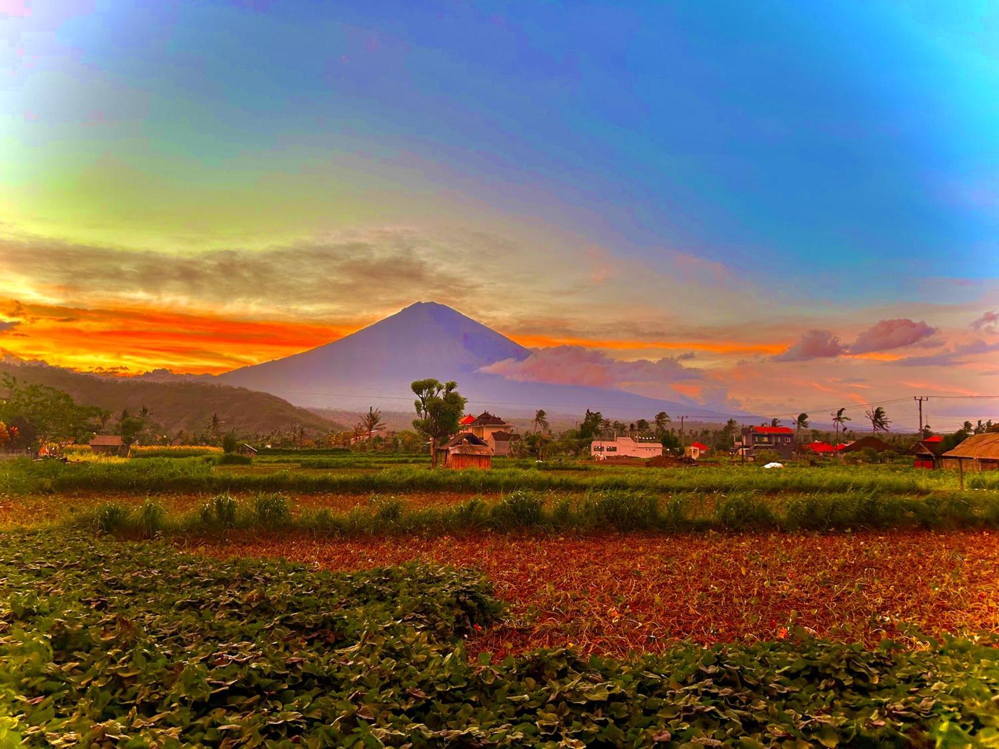 D'Uma Amed Homestay المظهر الخارجي الصورة