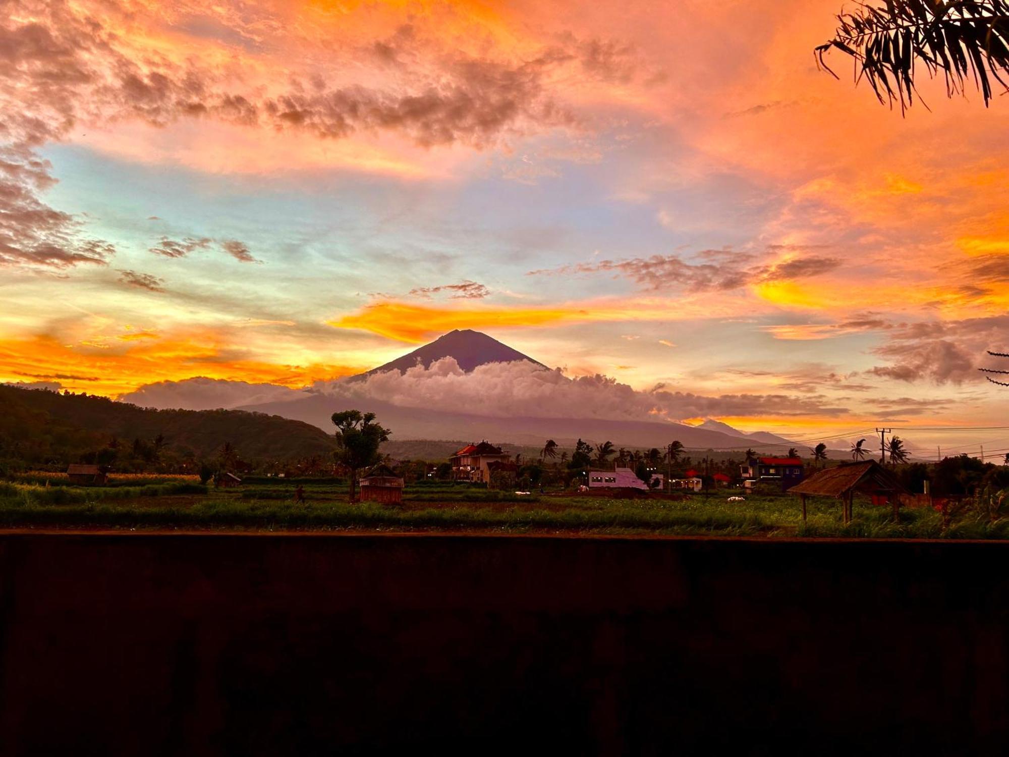 D'Uma Amed Homestay المظهر الخارجي الصورة