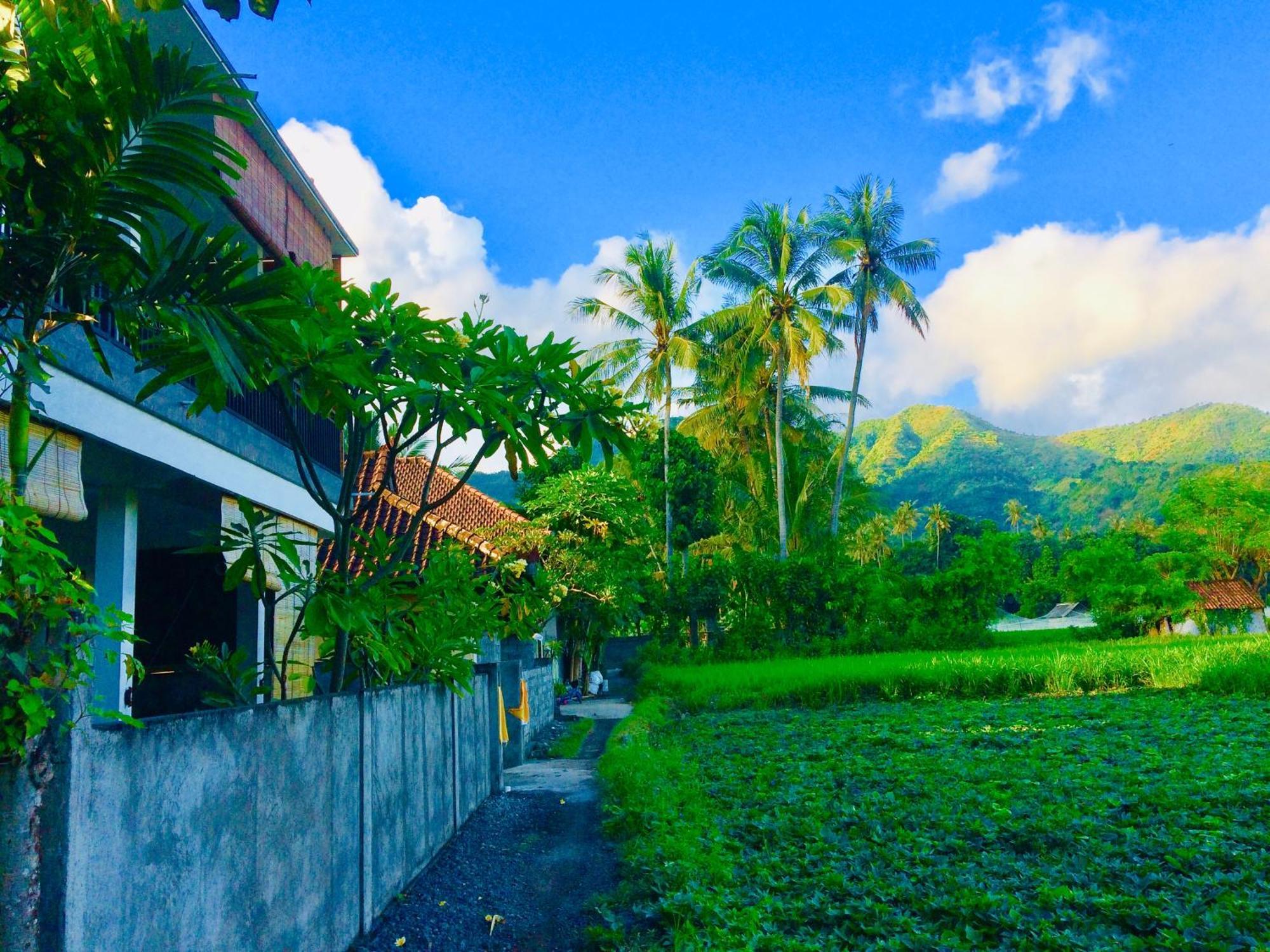 D'Uma Amed Homestay المظهر الخارجي الصورة