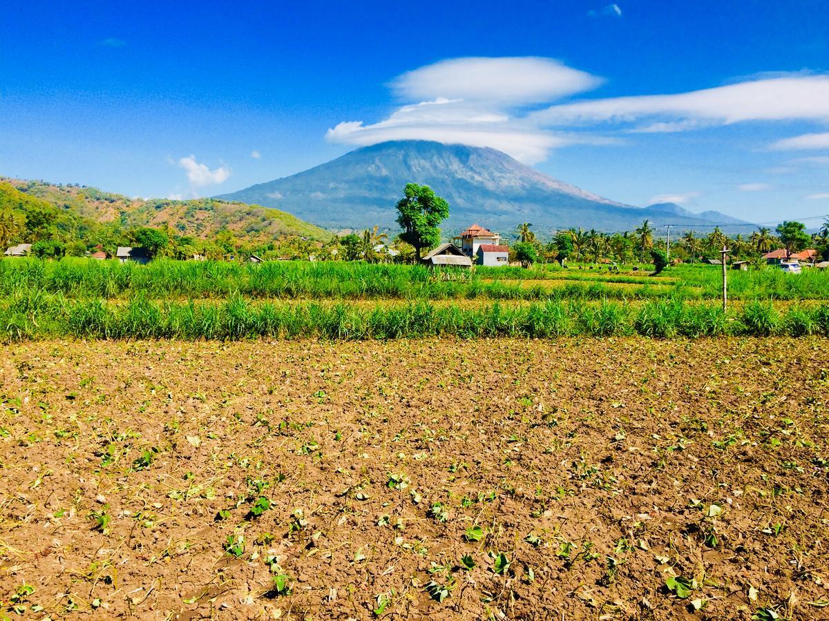 D'Uma Amed Homestay المظهر الخارجي الصورة
